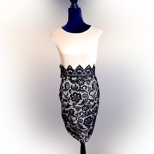 Lace Bottom Bodycon Midi Dress